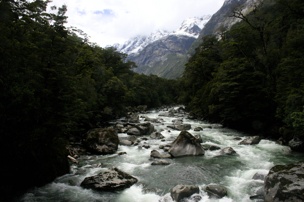 Fiordland Totoka River